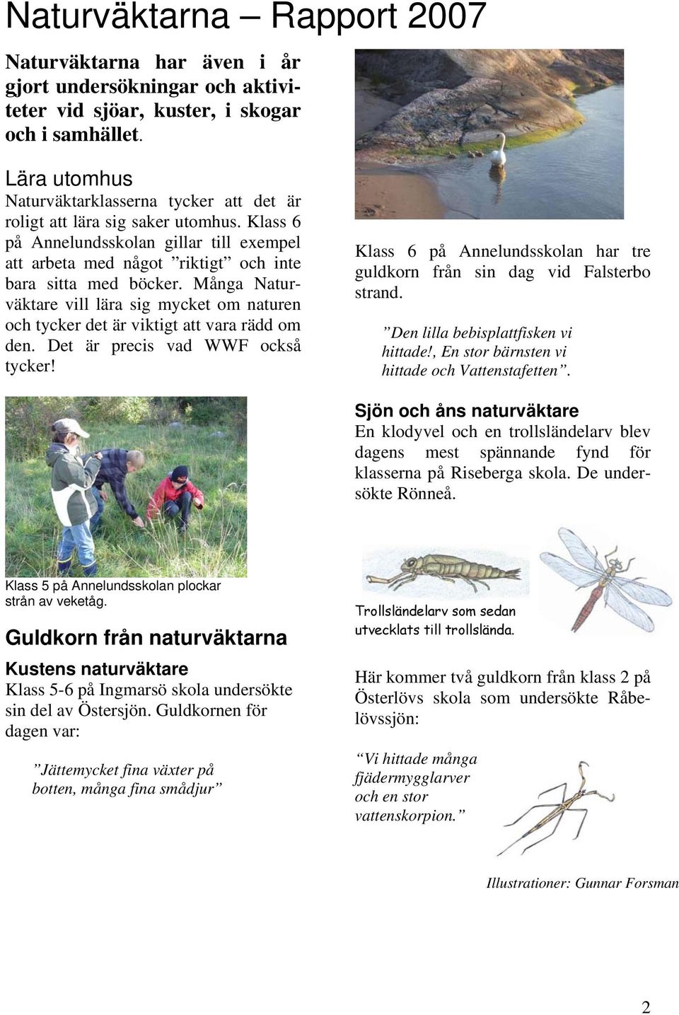 Många Naturväktare vill lära sig mycket om naturen och tycker det är viktigt att vara rädd om den. Det är precis vad WWF också tycker!