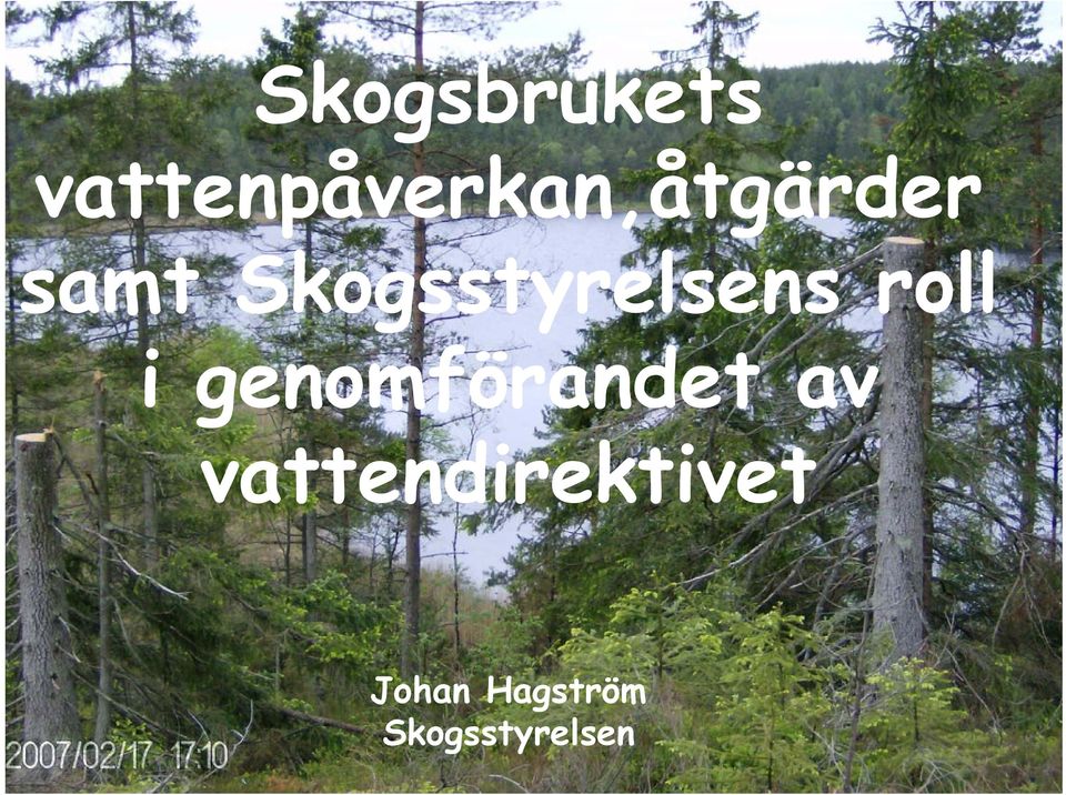 Skogsstyrelsens roll i