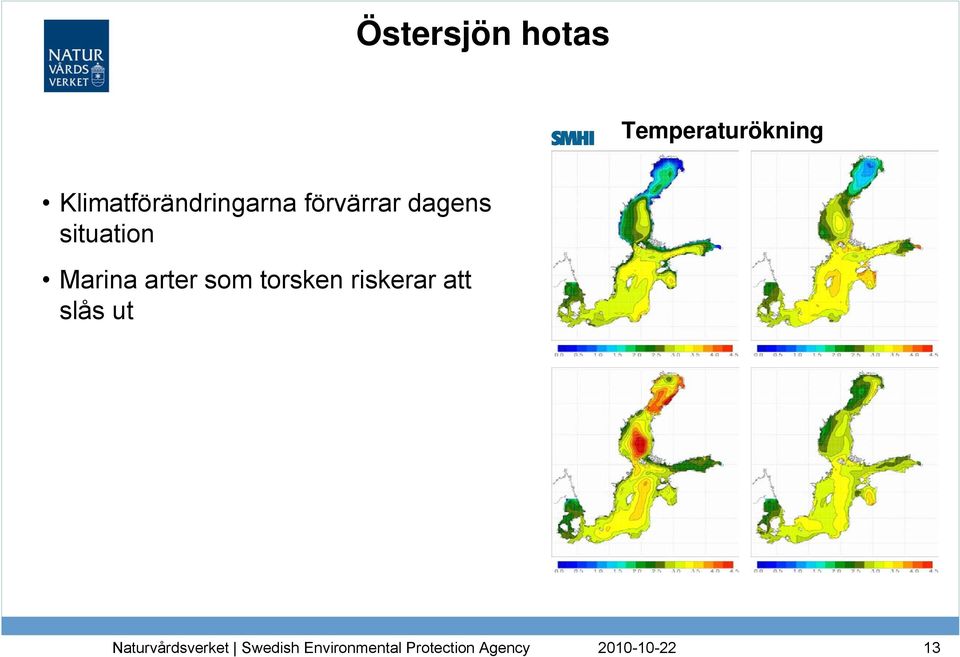 dagens situation Marina arter