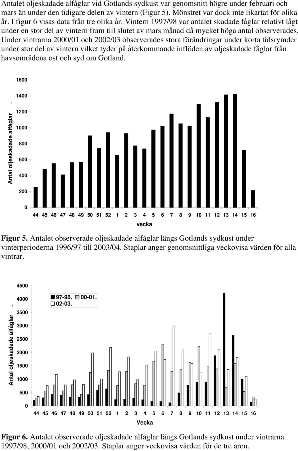 Under vintrarna 2000/01 och 2002/03 observerades stora förändringar under korta tidsrymder under stor del av vintern vilket tyder på återkommande inflöden av oljeskadade fåglar från havsområdena ost