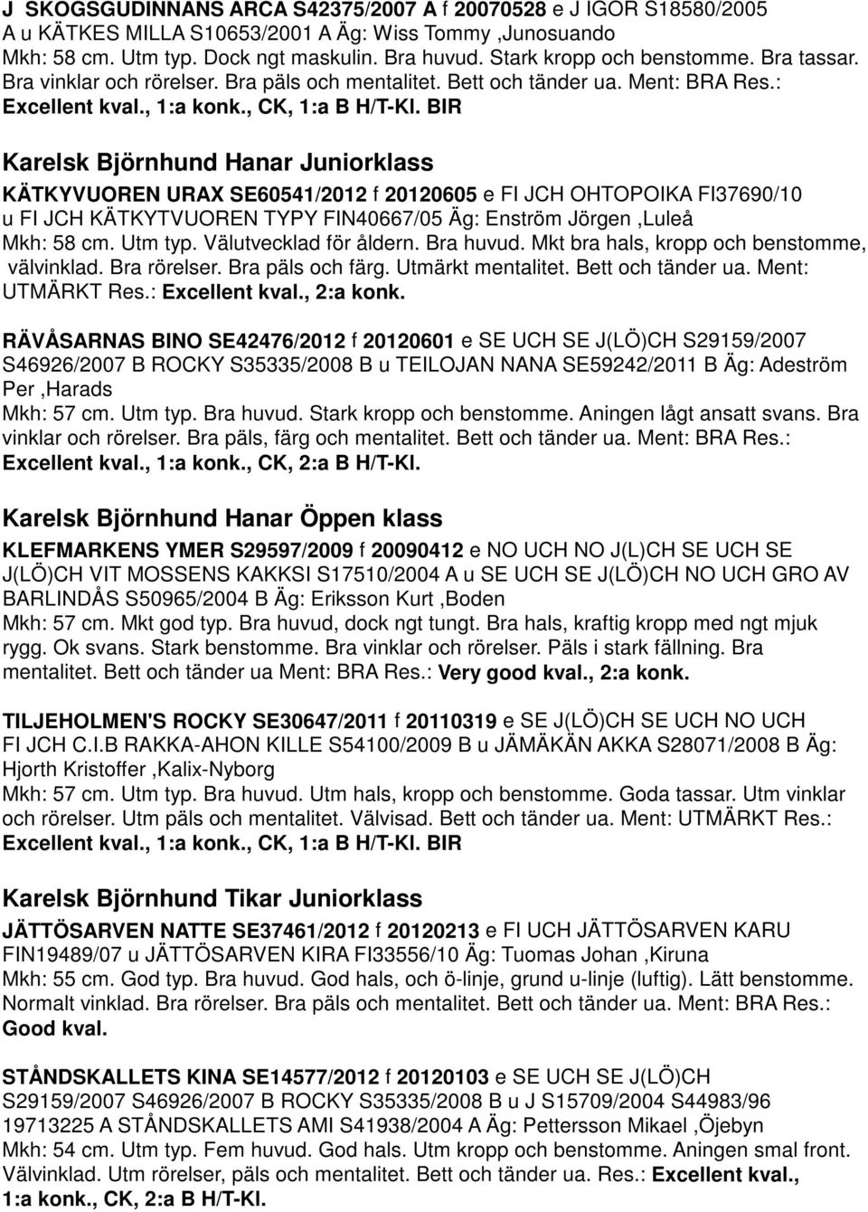 BIR Karelsk Björnhund Hanar Juniorklass KÄTKYVUOREN URAX SE60541/2012 f 20120605 e FI JCH OHTOPOIKA FI37690/10 u FI JCH KÄTKYTVUOREN TYPY FIN40667/05 Äg: Enström Jörgen,Luleå Mkh: 58 cm. Utm typ.