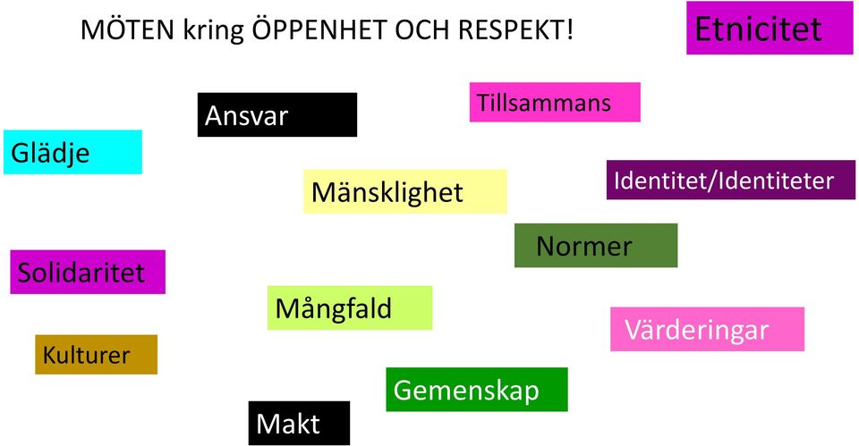 Ansvar Mänsklighet Mångfald Gemenskap