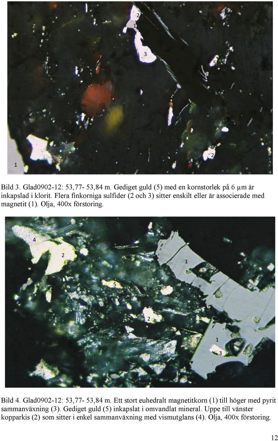 Glad0902-12: 53,77-53,84 m. Ett stort euhedralt magnetitkorn (1) till höger med pyrit sammanväxning (3).