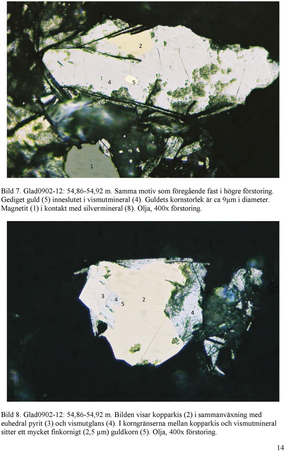Magnetit (1) i kontakt med silvermineral (8). Olja, 400x förstoring. Bild 8. Glad0902-12: 54,86-54,92 m.