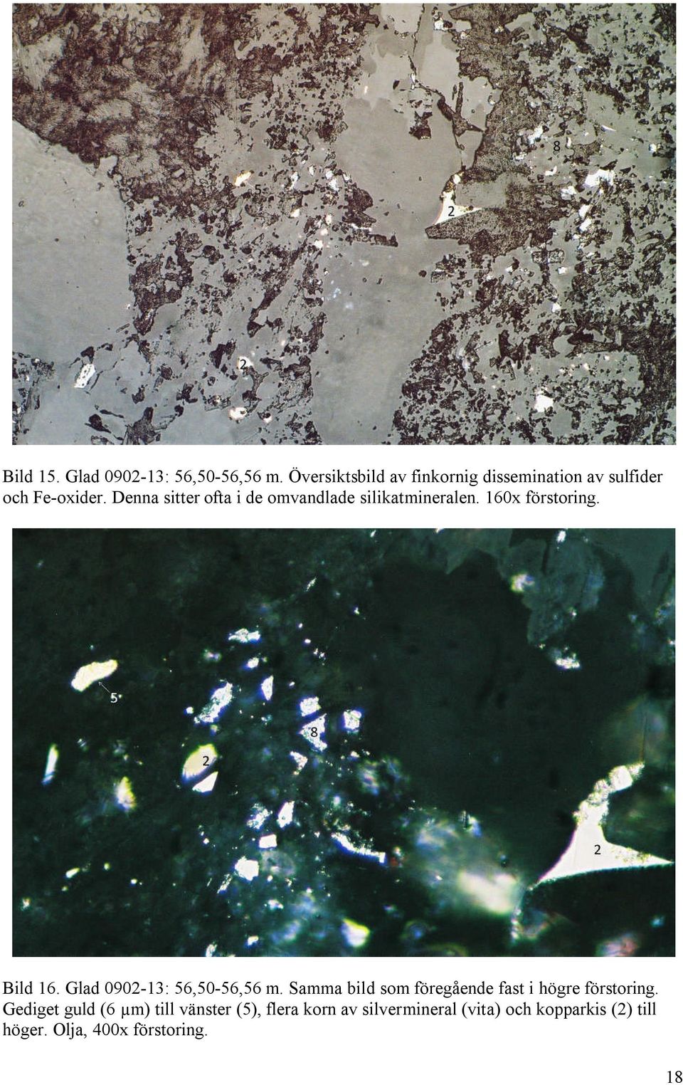 Denna sitter ofta i de omvandlade silikatmineralen. 160x förstoring. Bild 16.