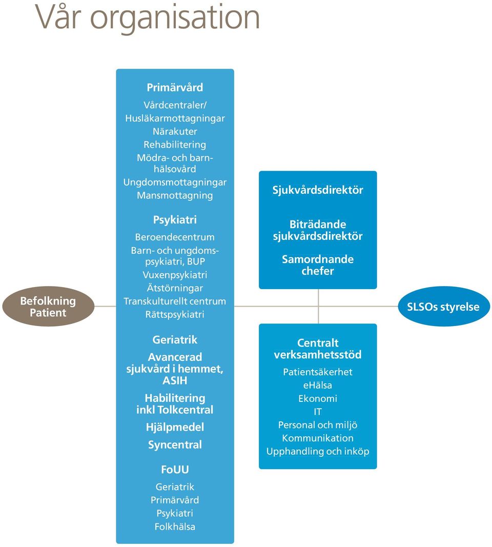 Rättspsykiatri Biträdande sjukvårdsdirektör Samordnande chefer SLSOs styrelse Geriatrik Avancerad sjukvård i hemmet, ASIH Habilitering inkl Tolkcentral