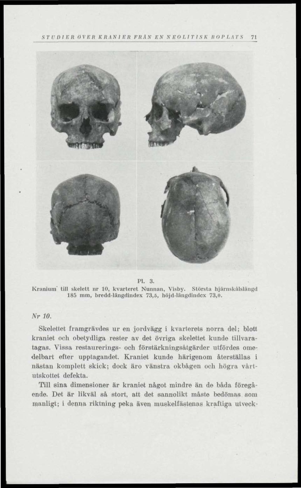 Skelettet framgrävdes ur en jordvägg i kvarterets norra del; blott kraniet och obetydliga rester av det övriga skelettet kunde tillvaratagas.