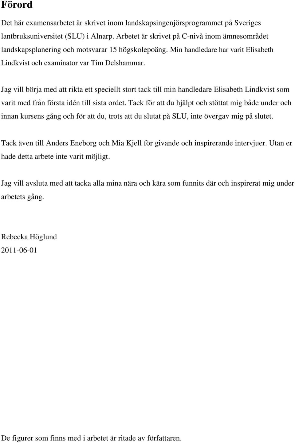 Jag vill börja med att rikta ett speciellt stort tack till min handledare Elisabeth Lindkvist som varit med från första idén till sista ordet.