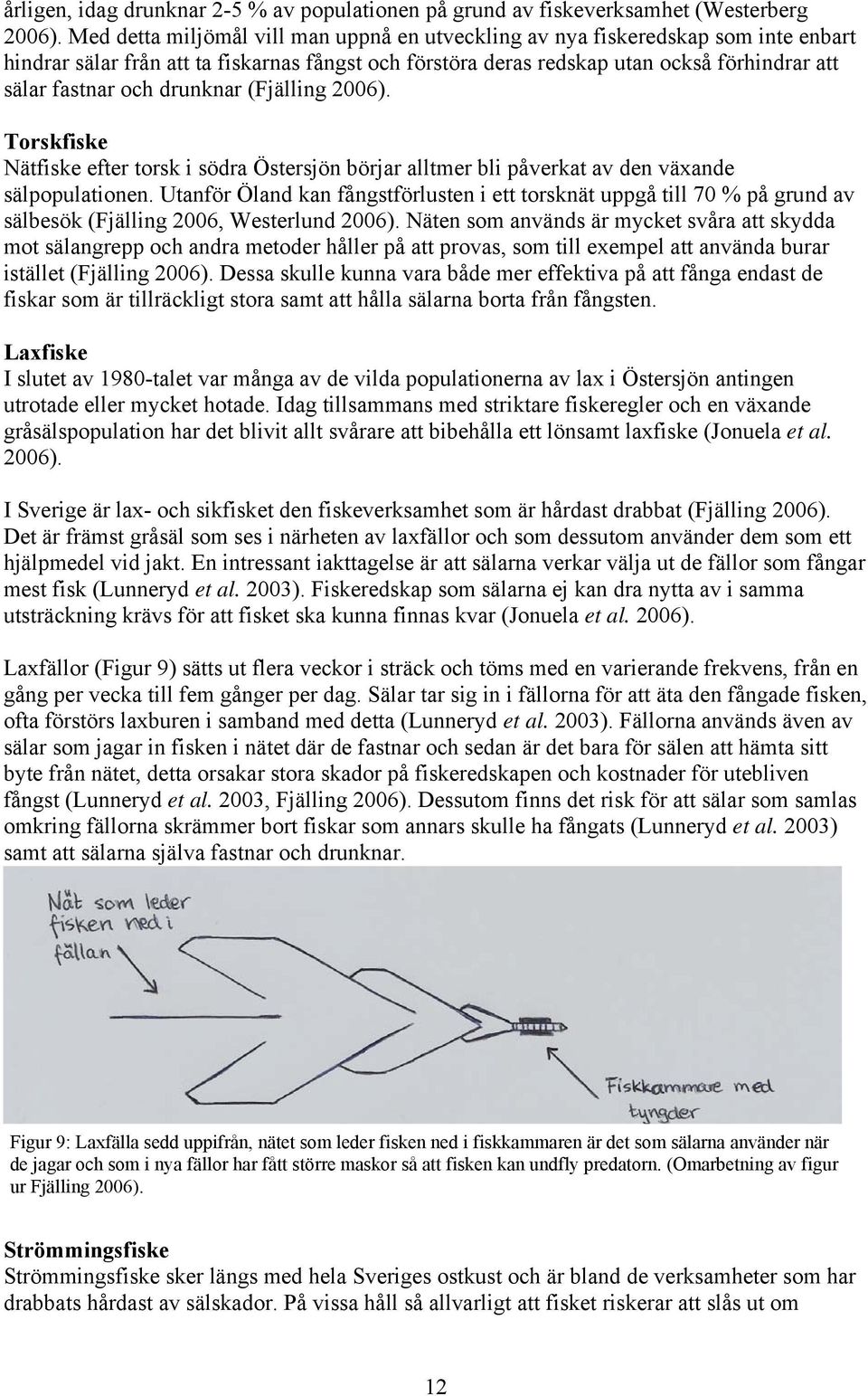 drunknar (Fjälling 2006). Torskfiske Nätfiske efter torsk i södra Östersjön börjar alltmer bli påverkat av den växande sälpopulationen.