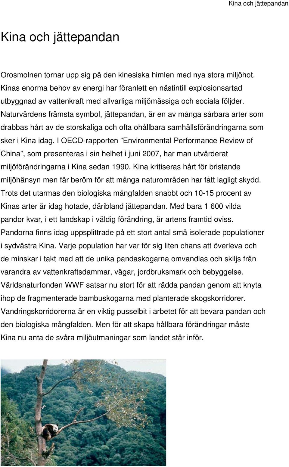 Naturvårdens främsta symbol, jättepandan, är en av många sårbara arter som drabbas hårt av de storskaliga och ofta ohållbara samhällsförändringarna som sker i Kina idag.