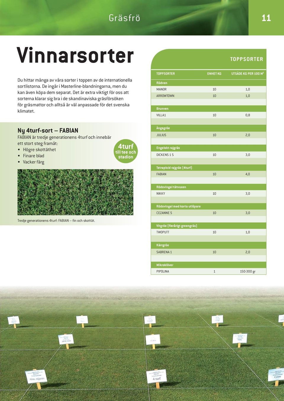 TOPPSORTER ENHET KG UTSÄDE KG PER 100 M 2 Rödven MANOR 10 1,0 ARROWTOWN 10 1,0 Brunven VILLA1 10 0,8 Ny 4turf-sort FABIAN FABIAN är tredje generationens 4turf och innebär ett stort steg framåt: Högre