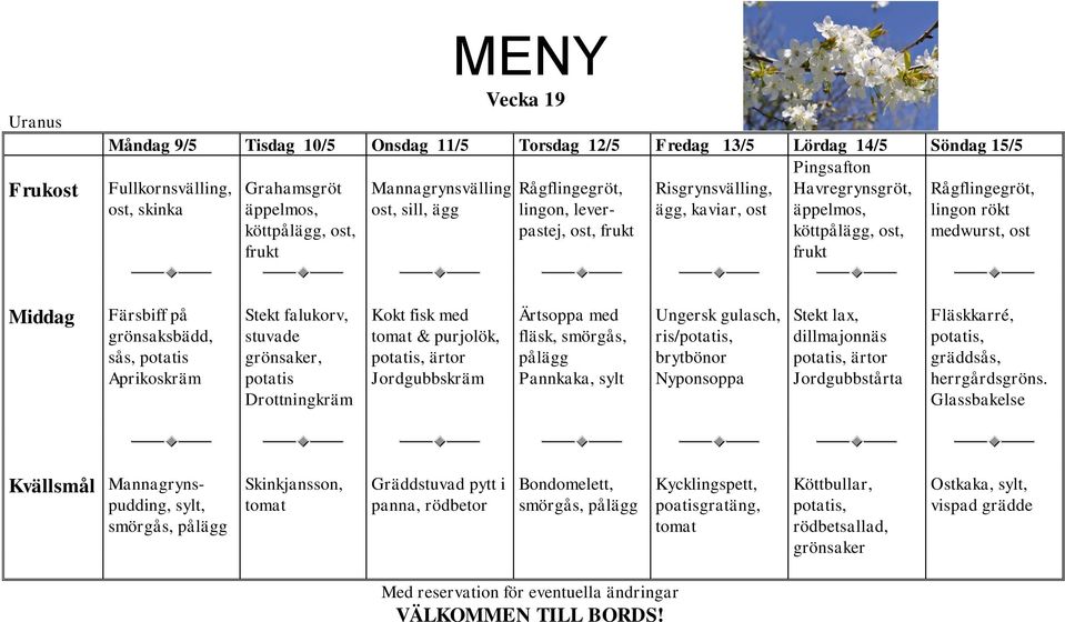 gulasch, ris/ brytbönor Nyponsoppa Stekt lax, dillmajonnäs ärtor Jordgubbstårta Fläskkarré, gräddsås, herrgårdsgröns.