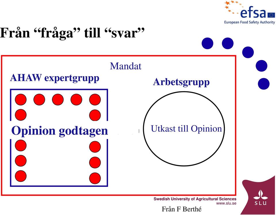 Arbetsgrupp Opinion