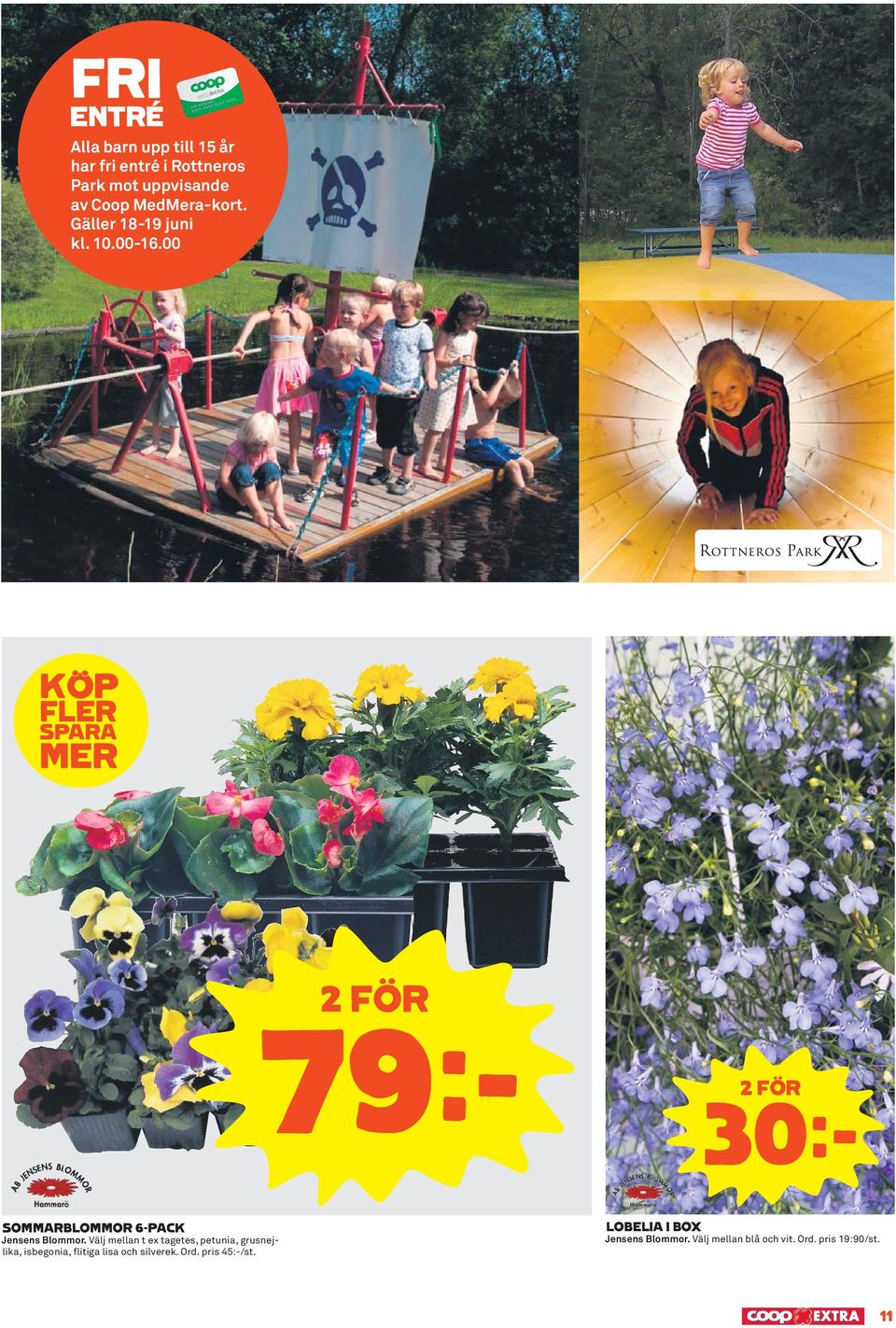 00 KÖP FLER SPARA MER 79k 30k SOMMARBLOMMOR 6-PACK Jensens Blommor.