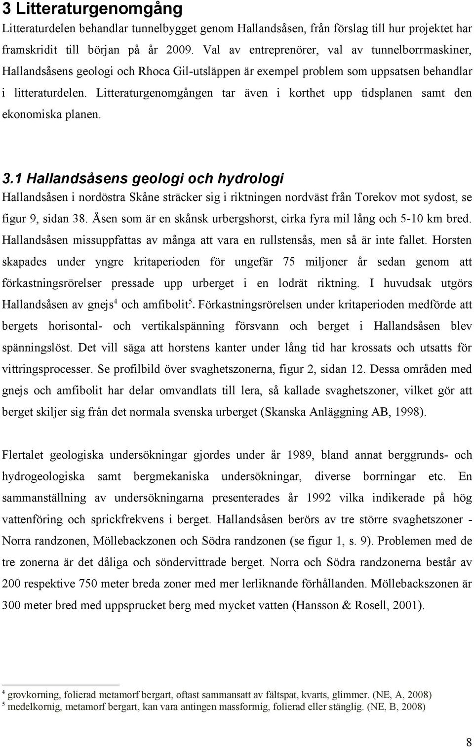 Litteraturgenomgången tar även i korthet upp tidsplanen samt den ekonomiska planen. 3.