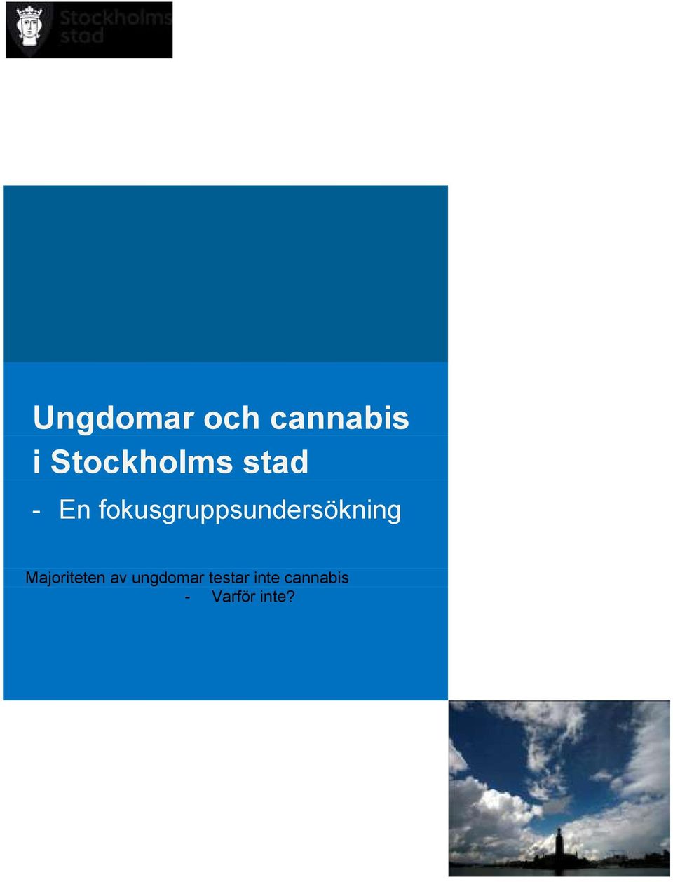 fokusgruppsundersökning