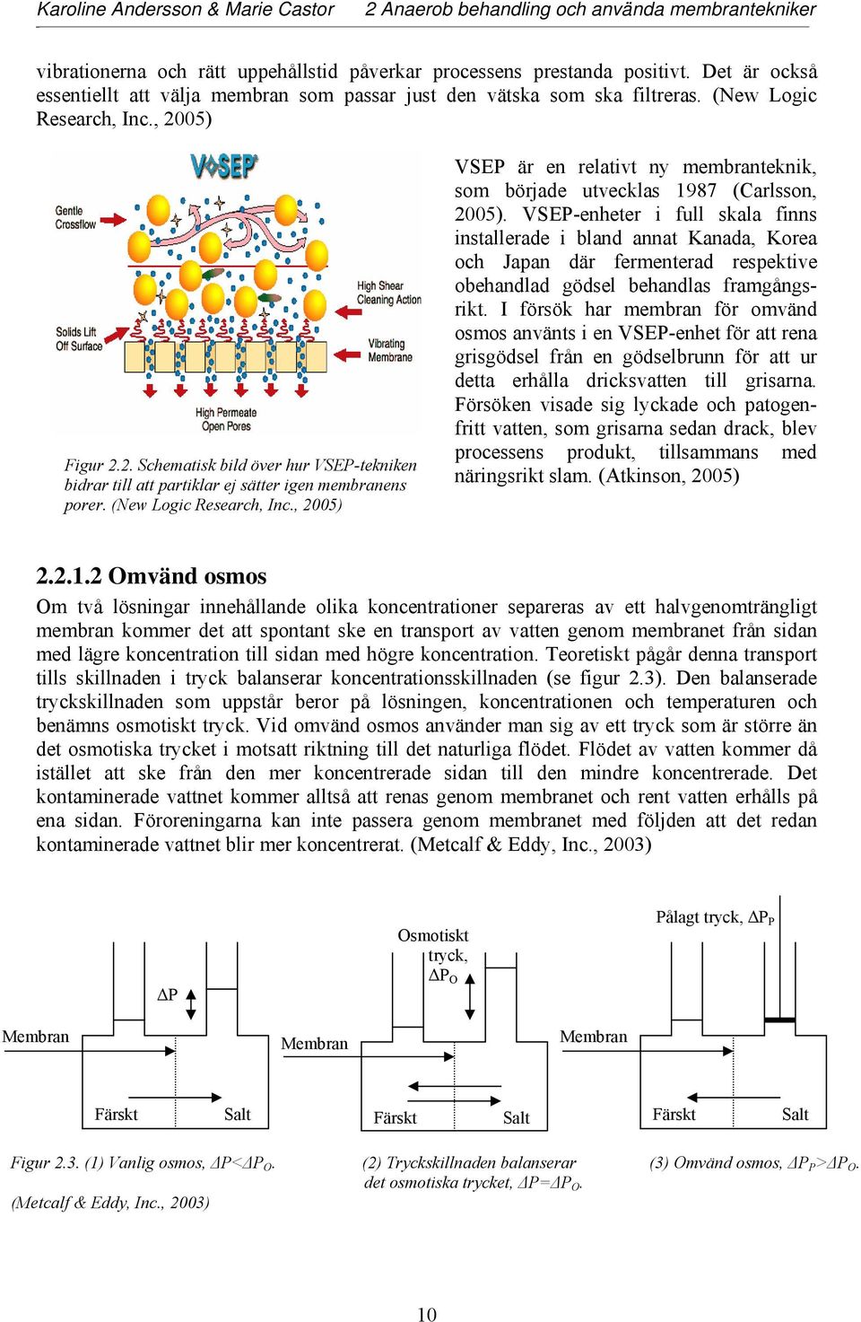 05) Figur 2.2. Schematisk bild över hur VSEP-tekniken bidrar till att partiklar ej sätter igen membranens porer. (New Logic Research, Inc.