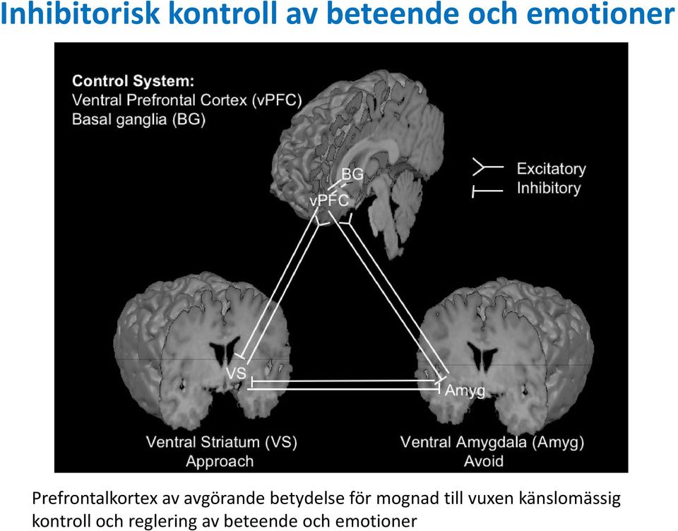 betydelse för mognad till vuxen