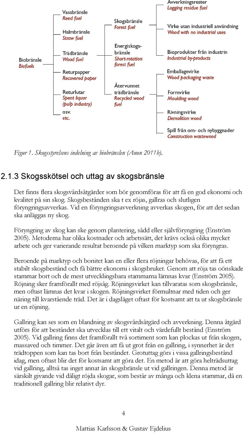 Föryngring av skog kan ske genom plantering, sådd eller självföryngring (Enström 2005).