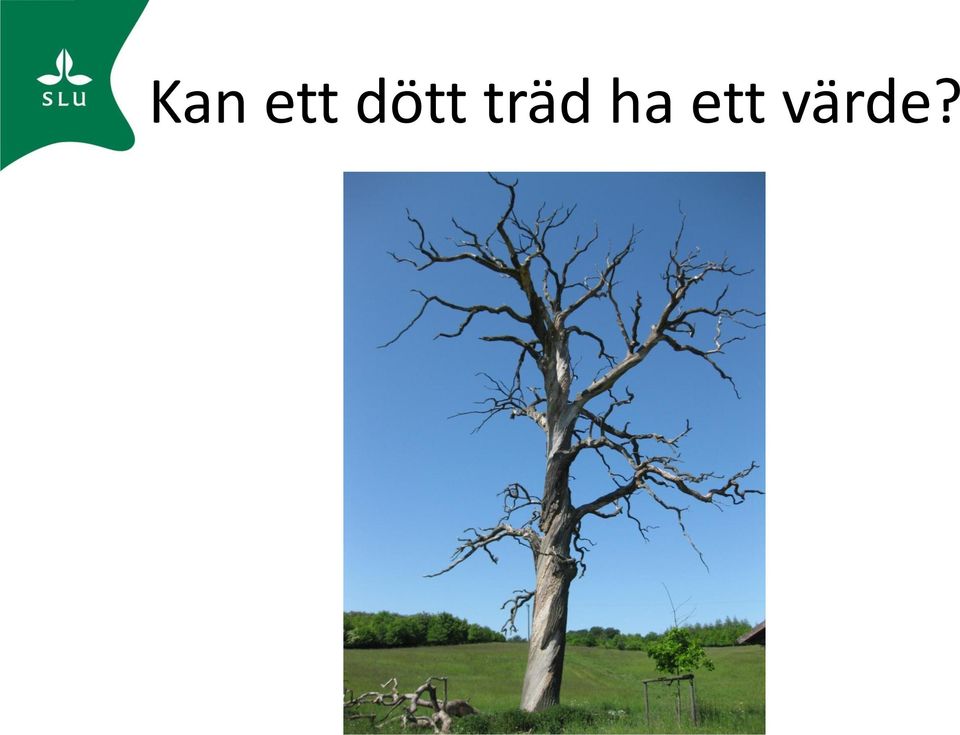 ha ett