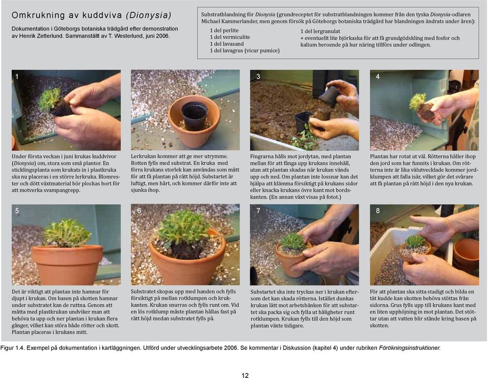 ändrats under åren): 1 del perlite 1 del vermiculite 1 del lavasand 1 del lavagrus (vicur pumice) 1 del lergranulat + eventuellt lite björkaska för att få grundgödskling med fosfor och kalium