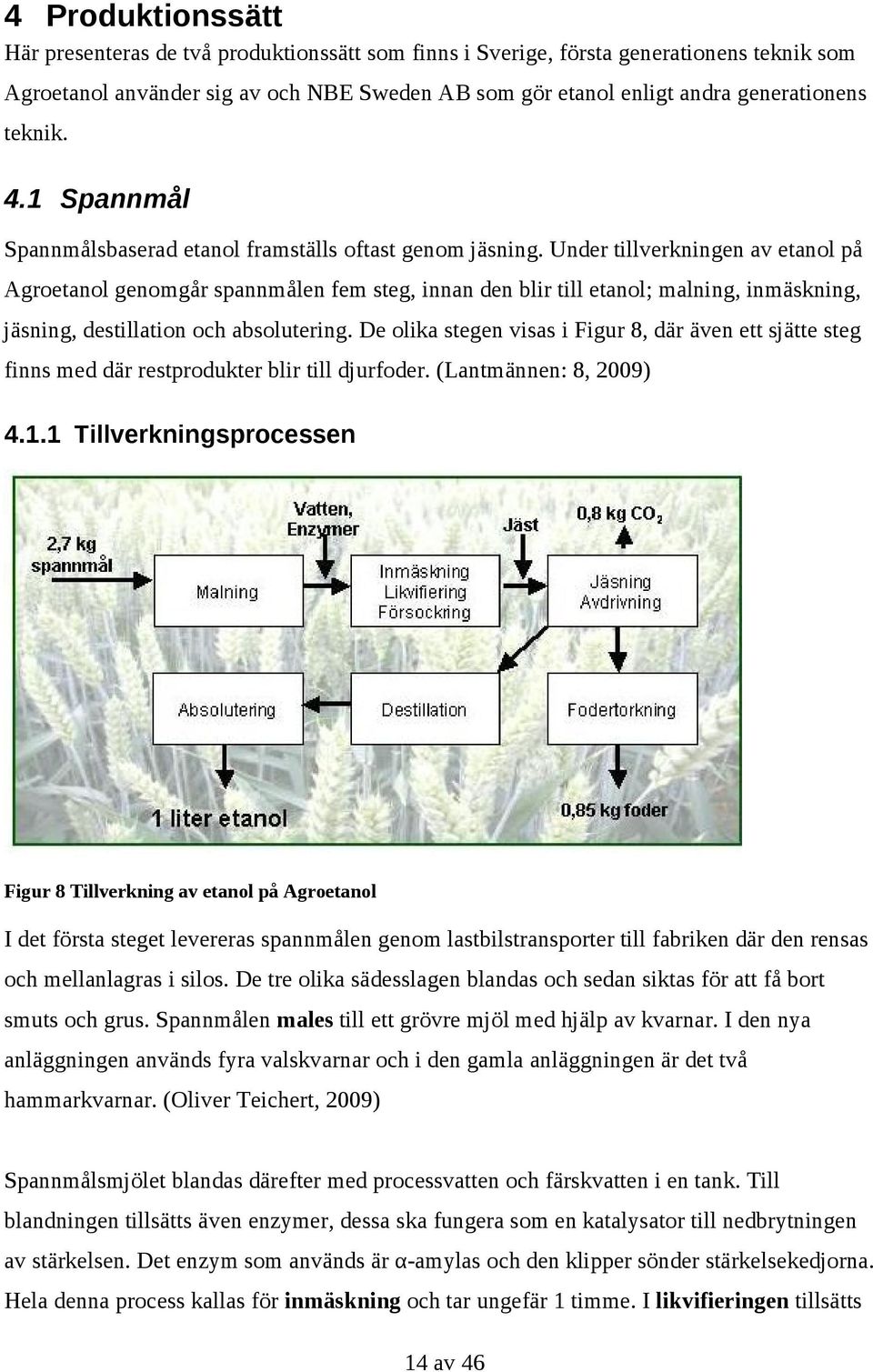 Under tillverkningen av etanol på Agroetanol genomgår spannmålen fem steg, innan den blir till etanol; malning, inmäskning, jäsning, destillation och absolutering.