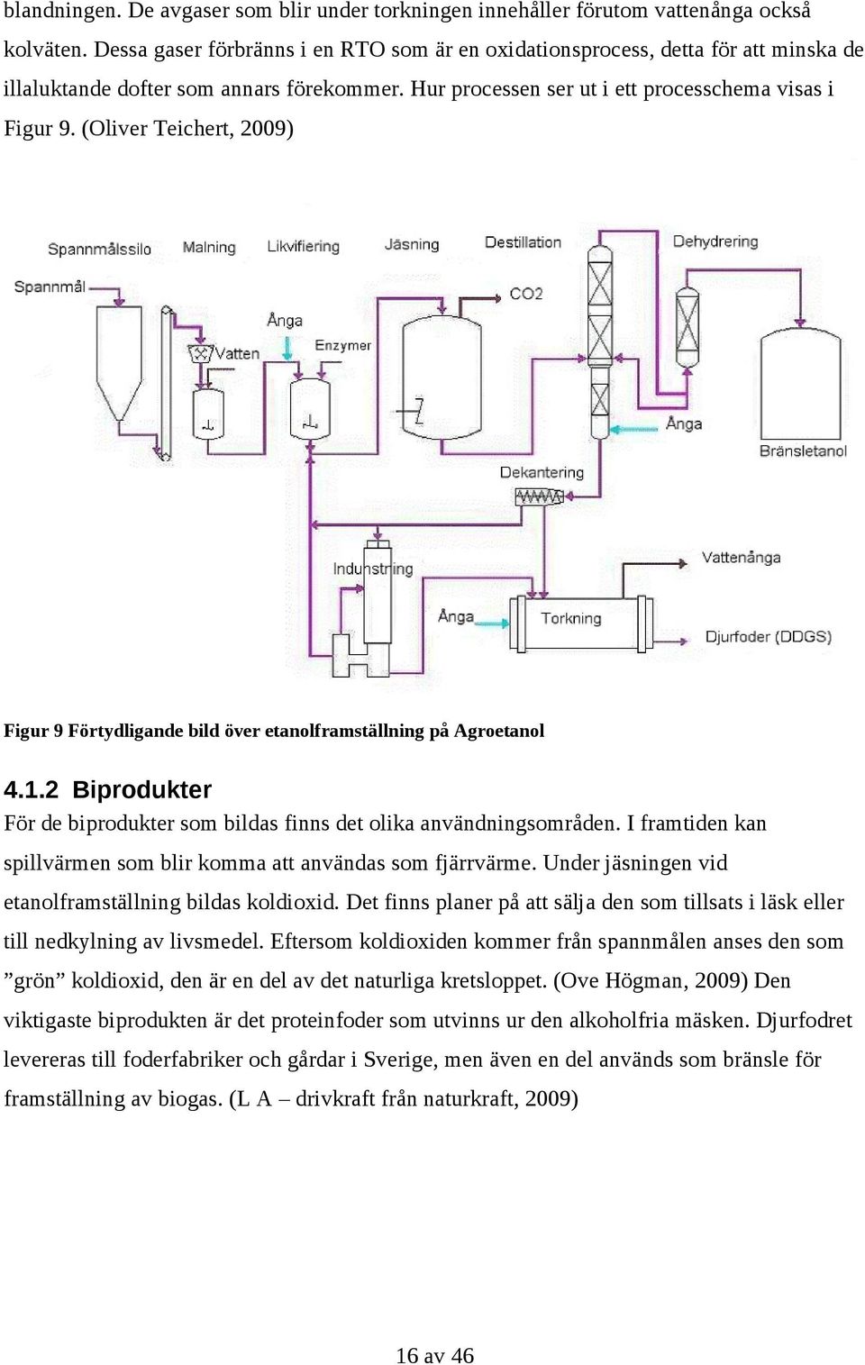 (Oliver Teichert, 2009) Figur 9 Förtydligande bild över etanolframställning på Agroetanol 4.1.2 Biprodukter För de biprodukter som bildas finns det olika användningsområden.