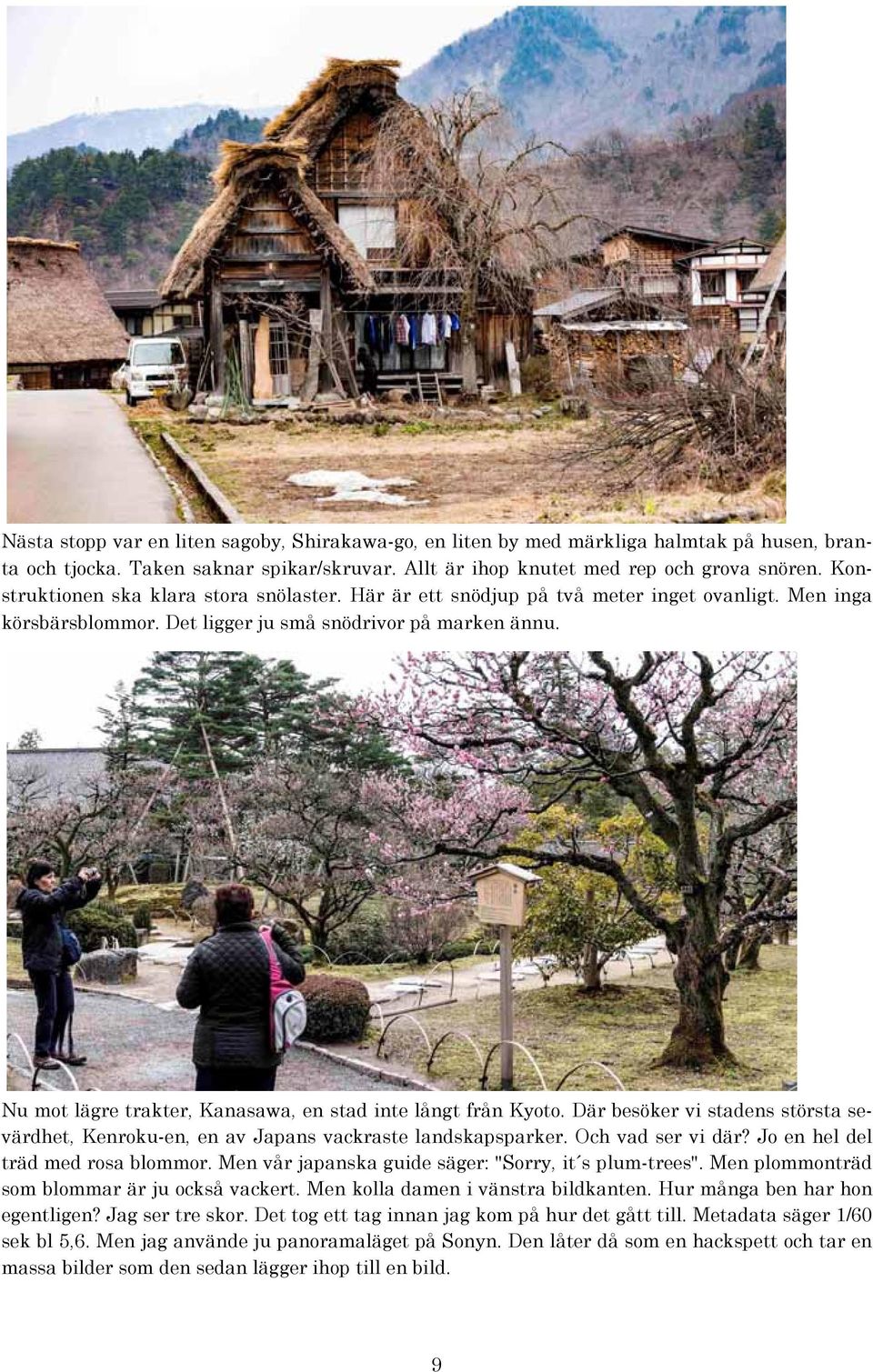 Nu mot lägre trakter, Kanasawa, en stad inte långt från Kyoto. Där besöker vi stadens största sevärdhet, Kenroku-en, en av Japans vackraste landskapsparker. Och vad ser vi där?