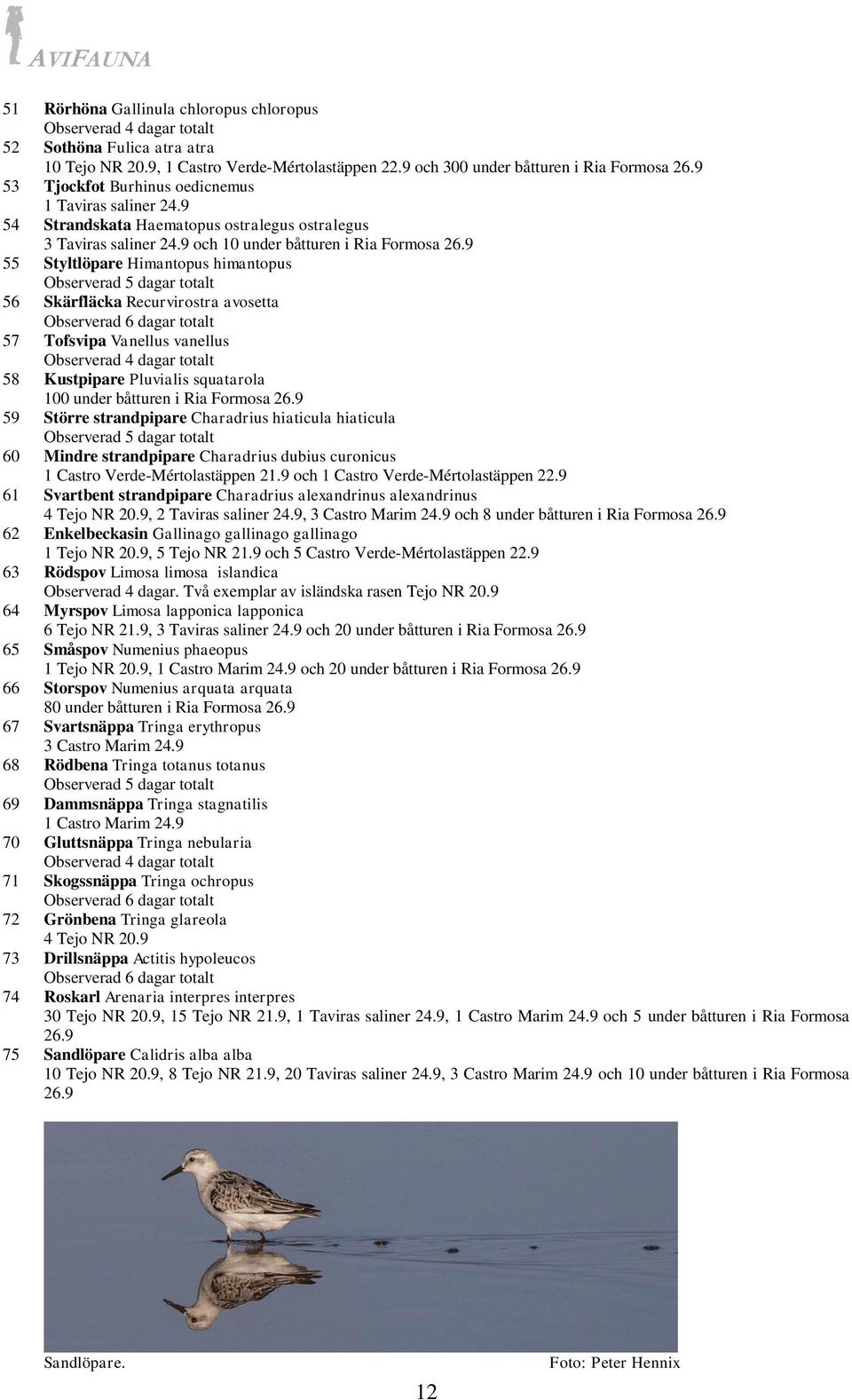 9 55 Styltlöpare Himantopus himantopus 56 Skärfläcka Recurvirostra avosetta 57 Tofsvipa Vanellus vanellus Observerad 4 dagar totalt 58 Kustpipare Pluvialis squatarola 100 under båtturen i Ria Formosa