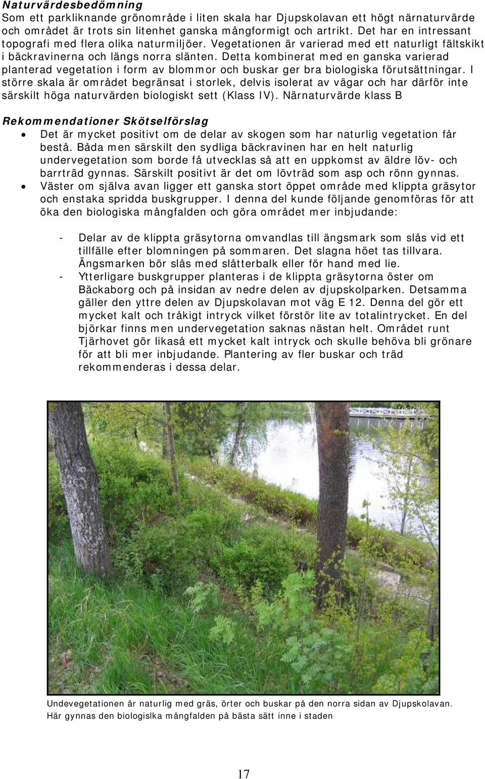 Detta kombinerat med en ganska varierad planterad vegetation i form av blommor och buskar ger bra biologiska förutsättningar.