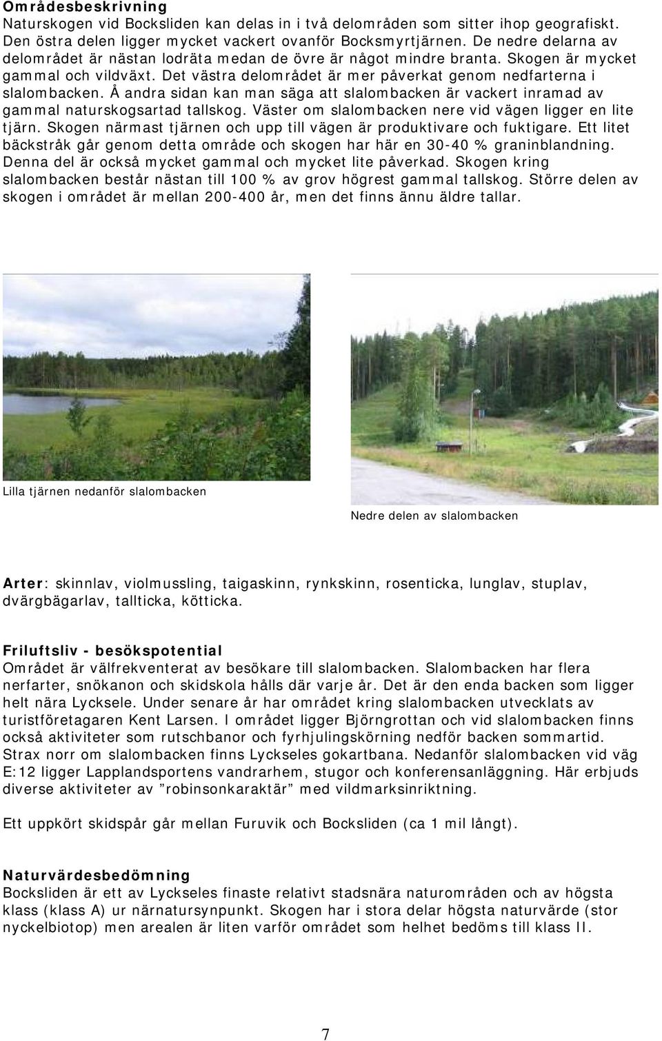 Å andra sidan kan man säga att slalombacken är vackert inramad av gammal naturskogsartad tallskog. Väster om slalombacken nere vid vägen ligger en lite tjärn.