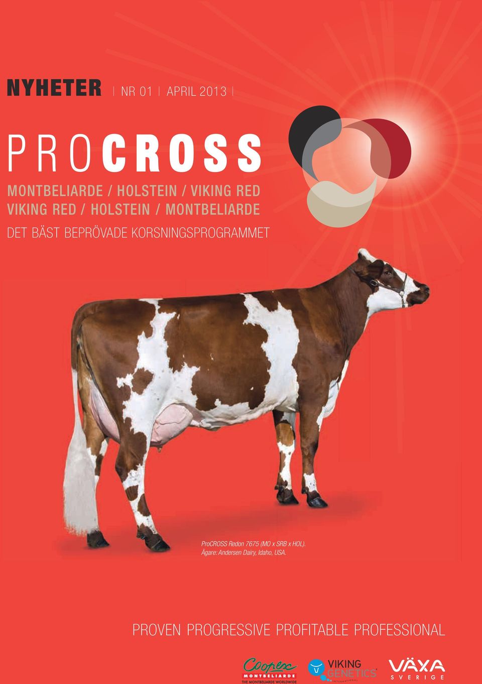 KOrSNiNGSprOGraMMET ProCROSS Redon 7675 (MO x SRB x HOL).