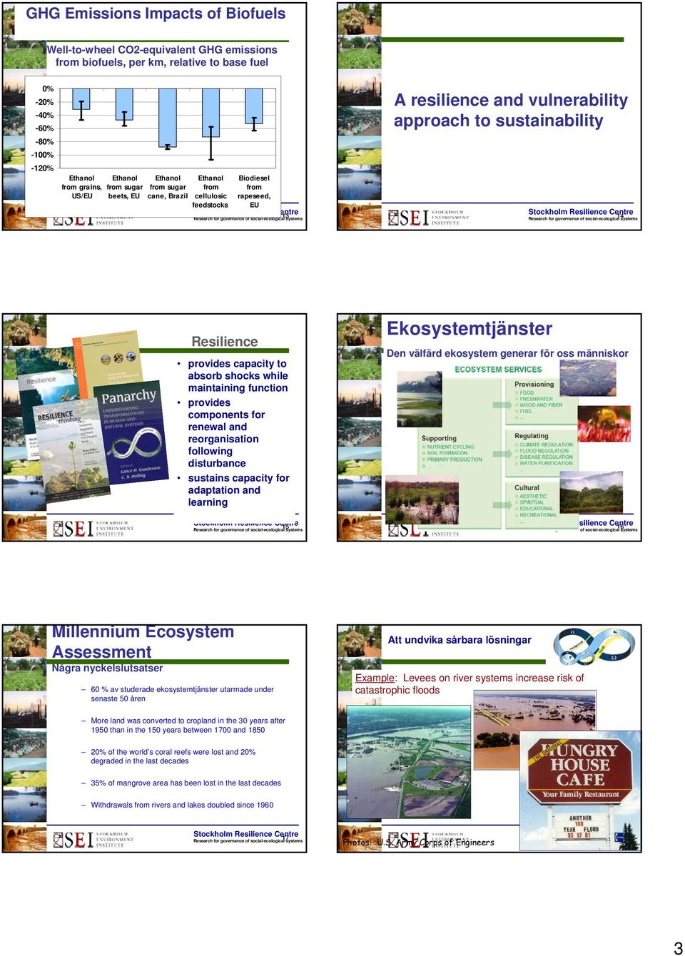 maintaining function provides components for renewal and reorganisation following disturbance sustains capacity for adaptation and learning www.resalliance.