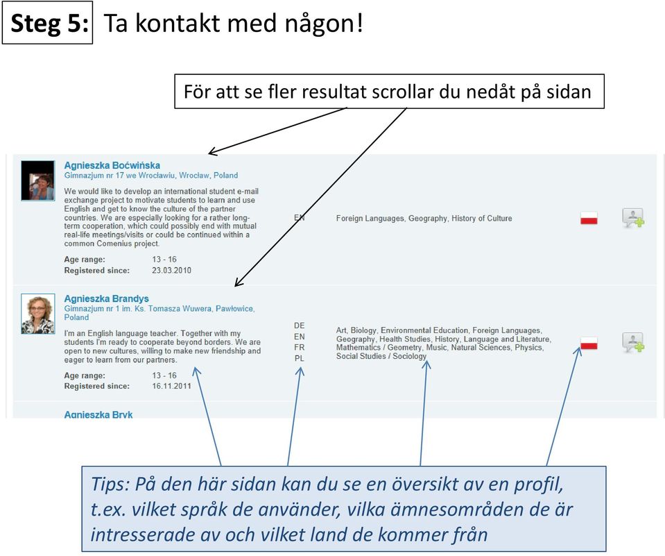 den här sidan kan du se en översikt av en profil, t.ex.