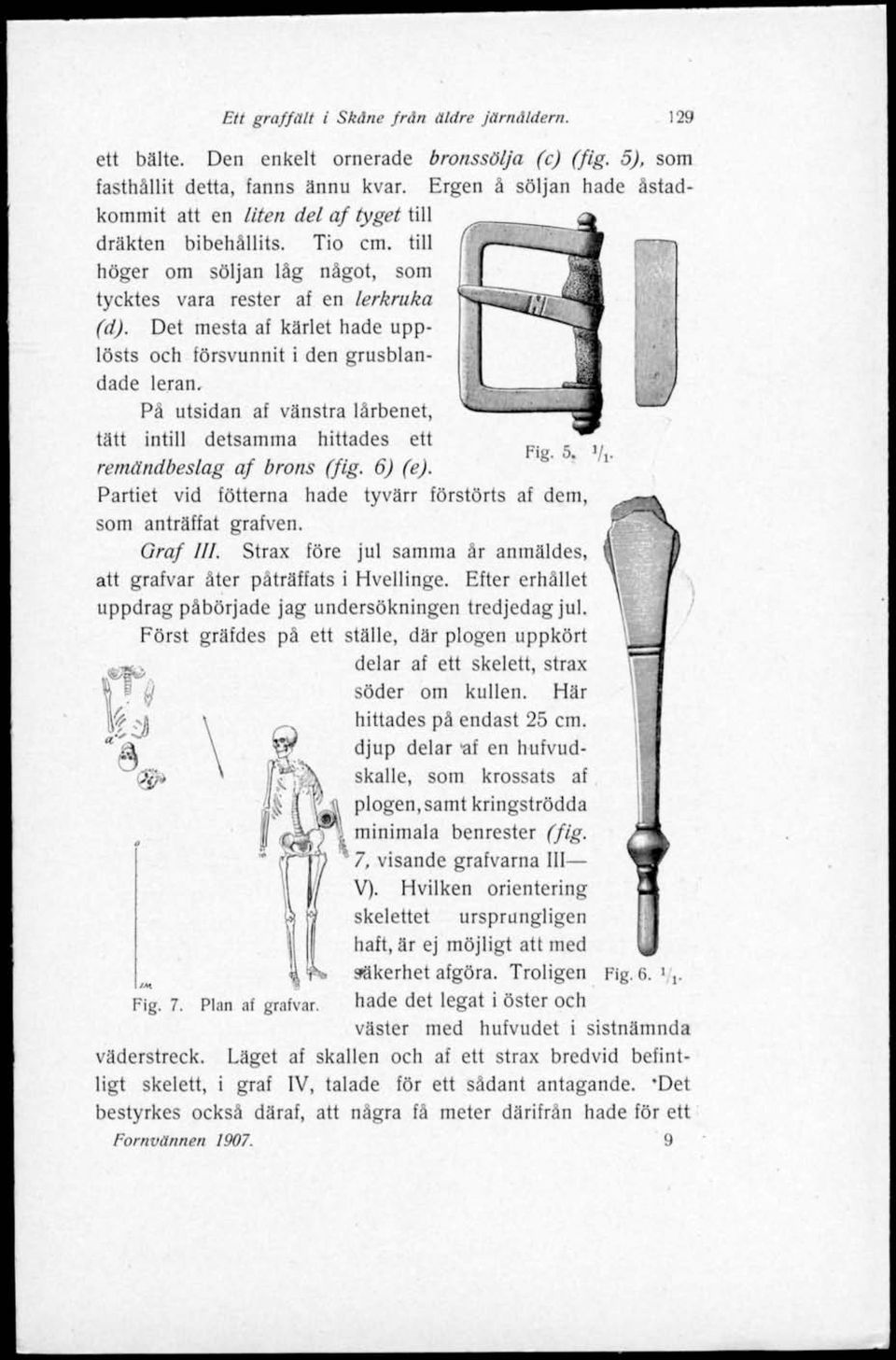 Det mesta af kärlet hade upplösts och försvunnit i den grusblandade leran. På utsidan af vänstra lårbenet, tätt intill detsamma hittades ett remändbeslag af brons (fig. 6) (e).