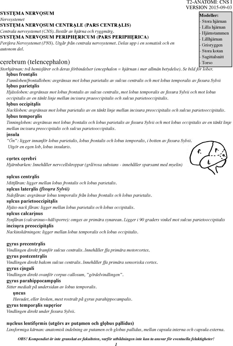 cẹrebrum (telencẹphalon) T2-ANATOMI: CNS I Modeller: - Stora hjärnan - Lilla hjärnan - Hjärnstammen - Lillhjärnan - Grisryggen - Stora kotan - Sagittalsnitt - Torso Storhjärnan: två hemisfärer och