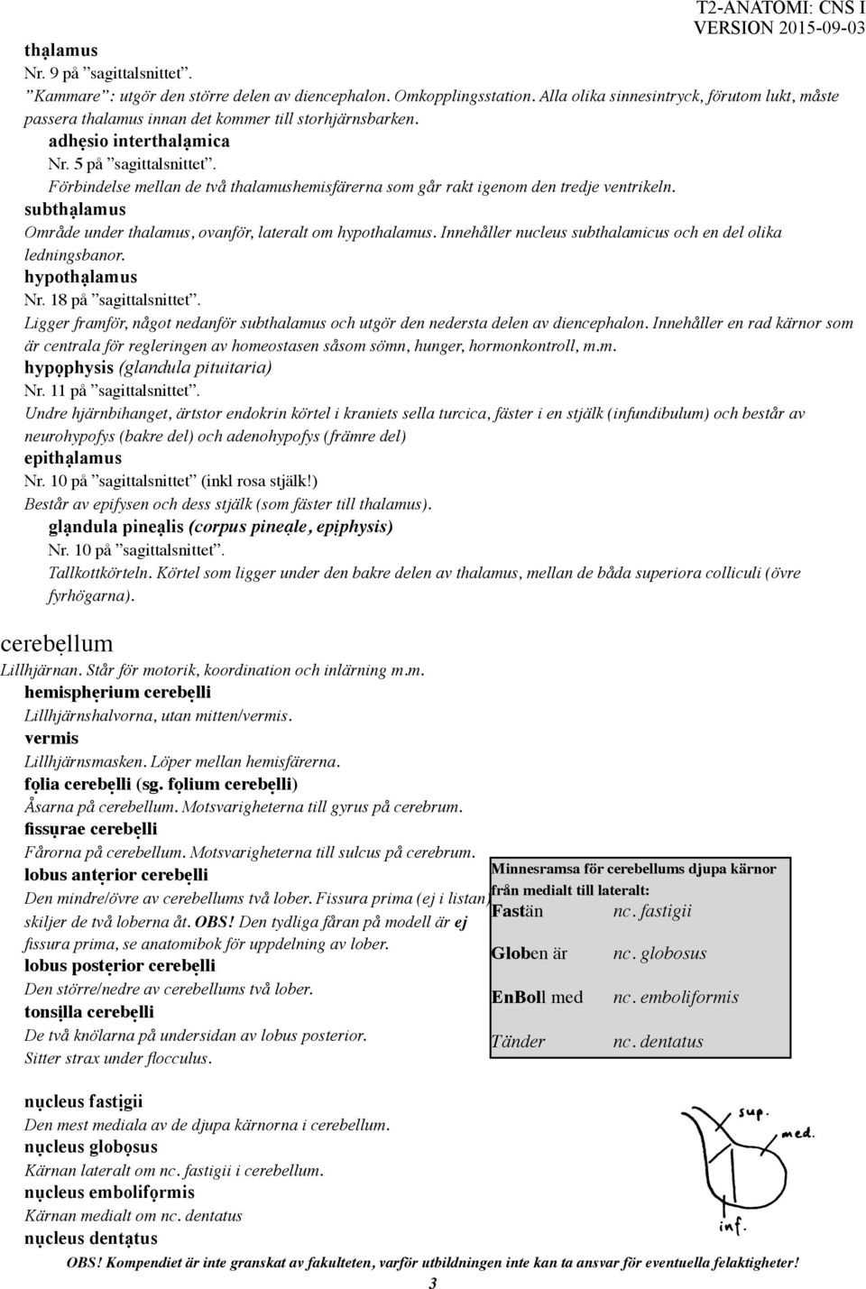 Förbindelse mellan de två thalamushemisfärerna som går rakt igenom den tredje ventrikeln. subthạlamus Område under thalamus, ovanför, lateralt om hypothalamus.