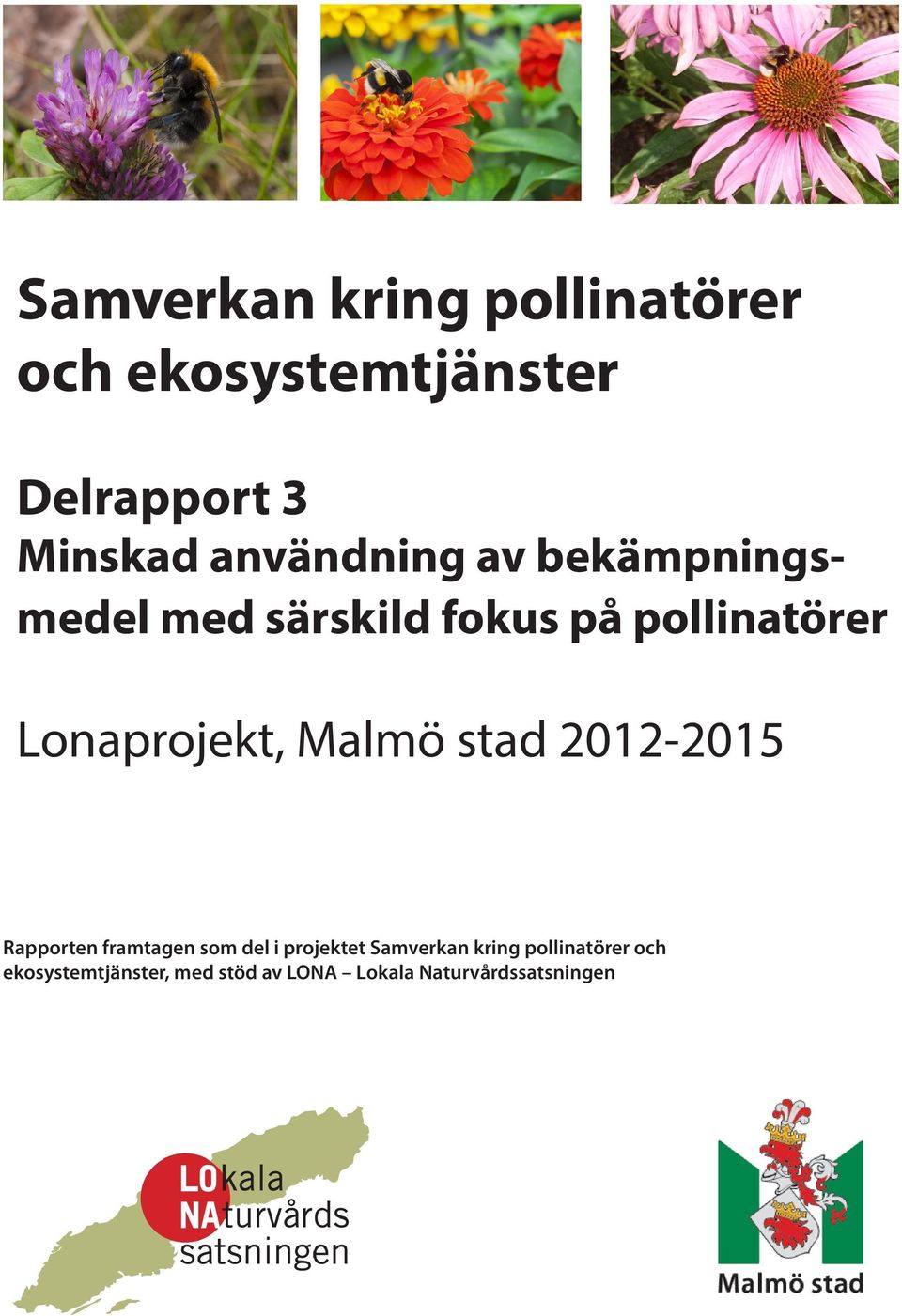 Lonaprojekt, Malmö stad 2012-2015 Rapporten framtagen som del i projektet