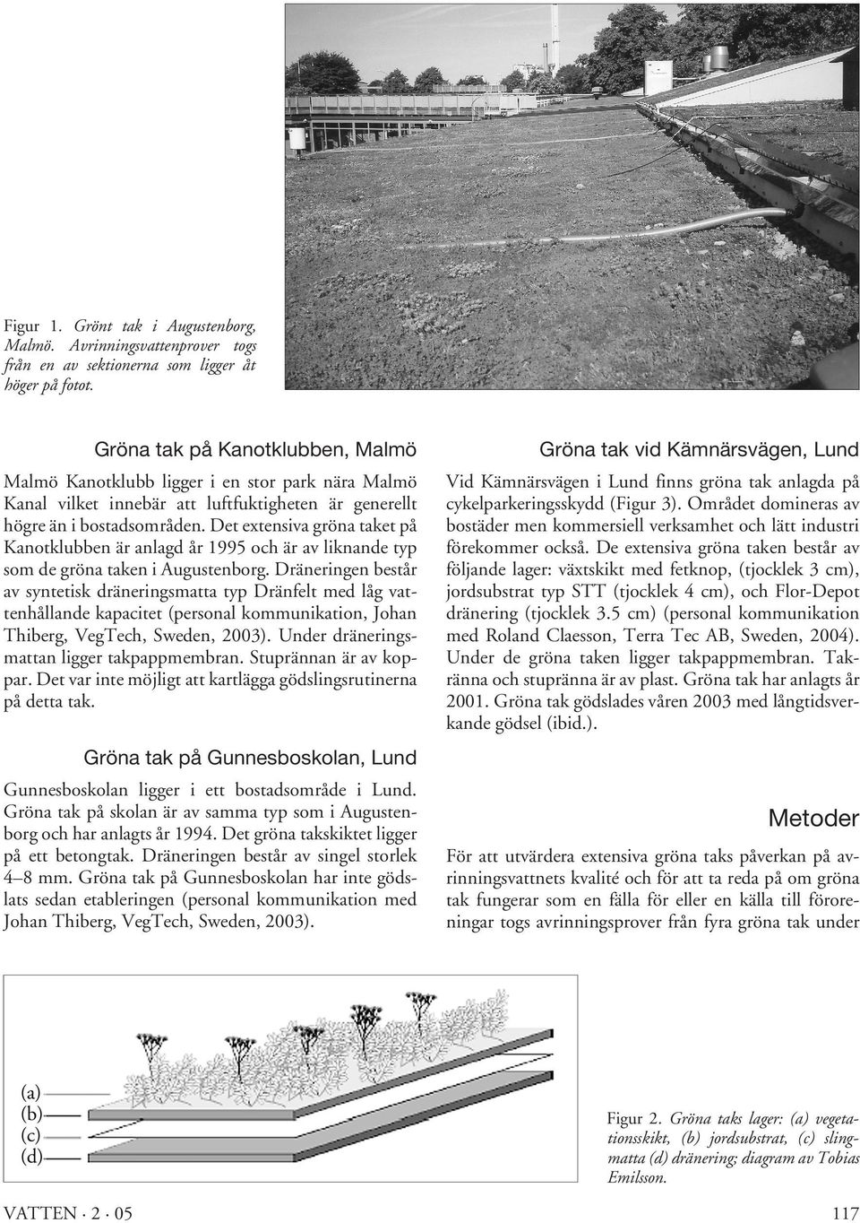 Det extensiva gröna taket på Kanotklubben är anlagd år 1995 och är av liknande typ som de gröna taken i Augustenborg.