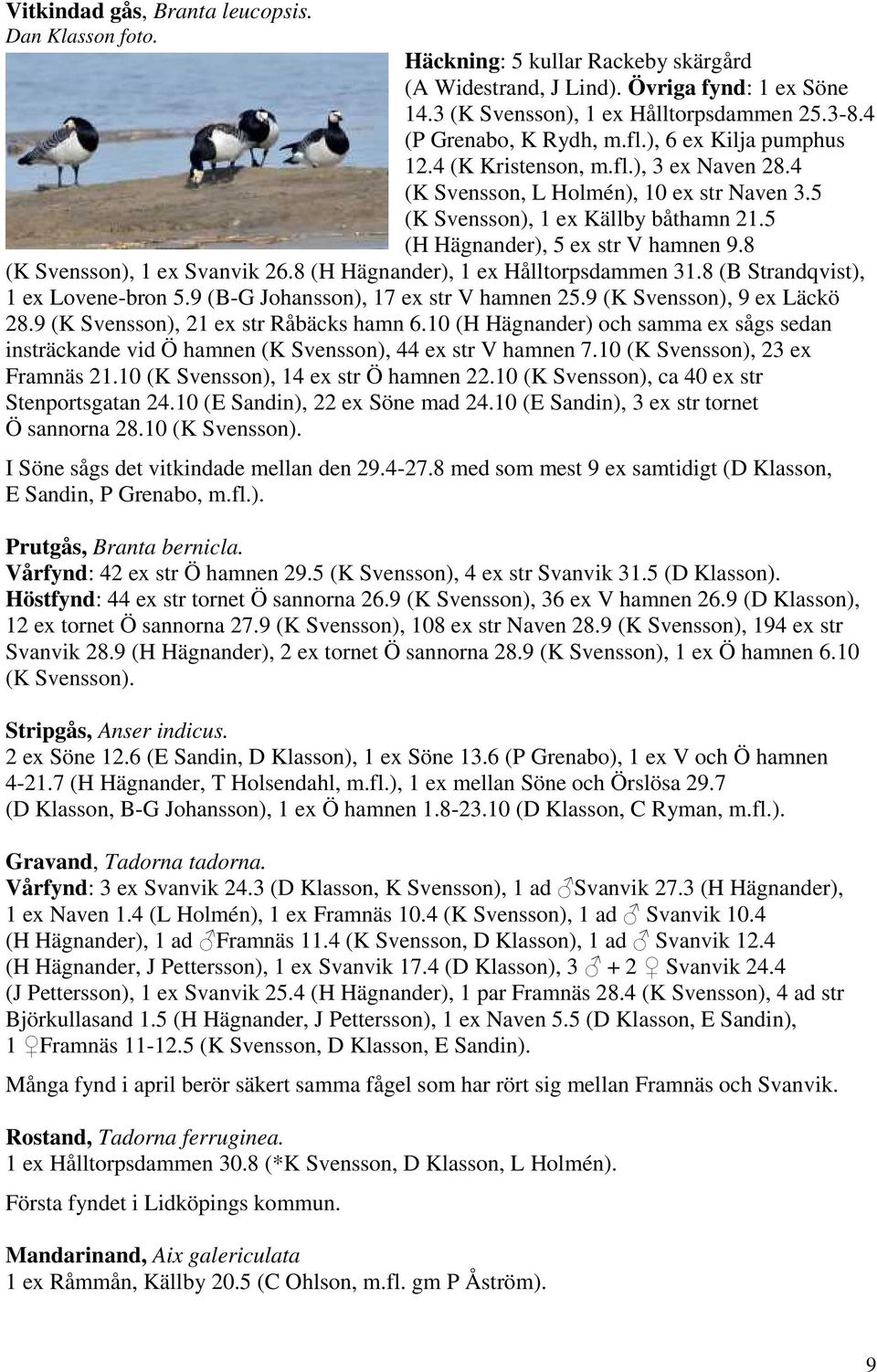 5 (H Hägnander), 5 ex str V hamnen 9.8 (K Svensson), 1 ex Svanvik 26.8 (H Hägnander), 1 ex Hålltorpsdammen 31.8 (B Strandqvist), 1 ex Lovene-bron 5.9 (B-G Johansson), 17 ex str V hamnen 25.