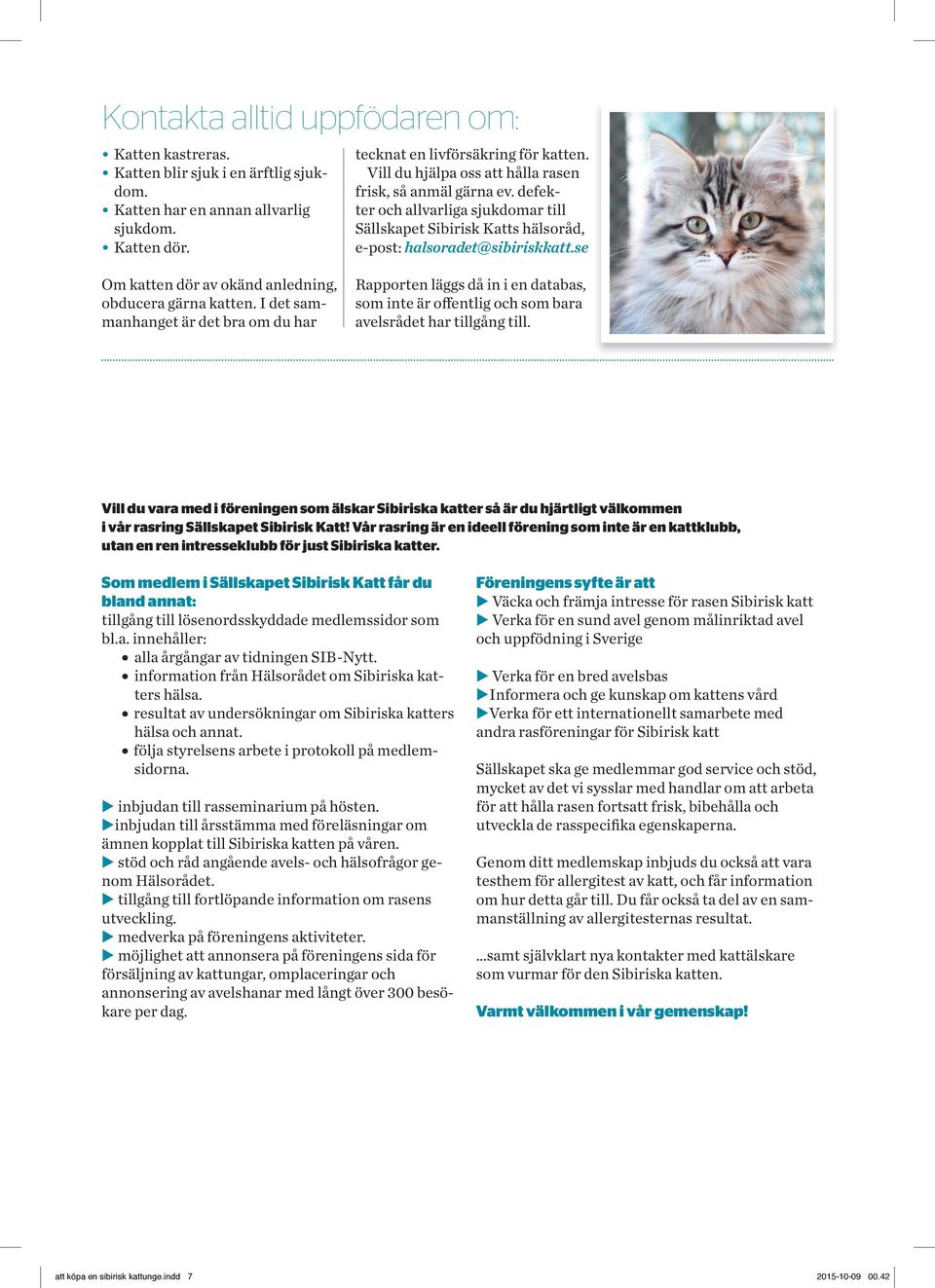 se Om katten dör av okänd anledning, obducera gärna katten. I det sammanhanget är det bra om du har Rapporten läggs då in i en databas, som inte är offentlig och som bara avelsrådet har tillgång till.