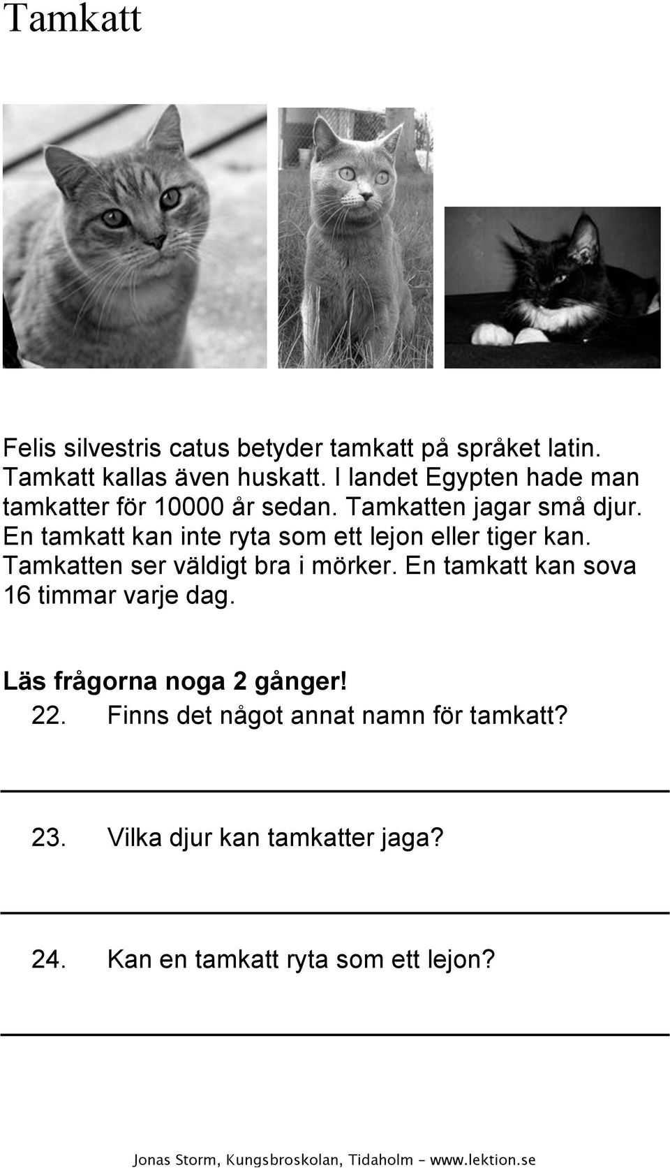 En tamkatt kan inte ryta som ett lejon eller tiger kan. Tamkatten ser väldigt bra i mörker.