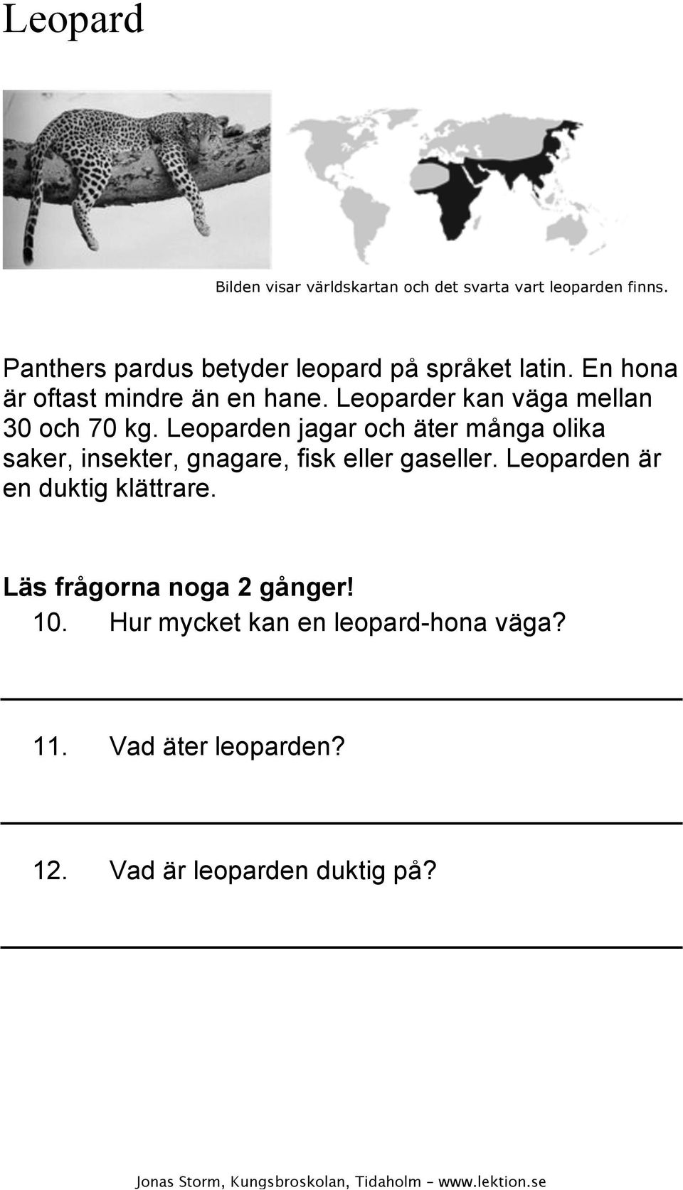 Leoparder kan väga mellan 30 och 70 kg.