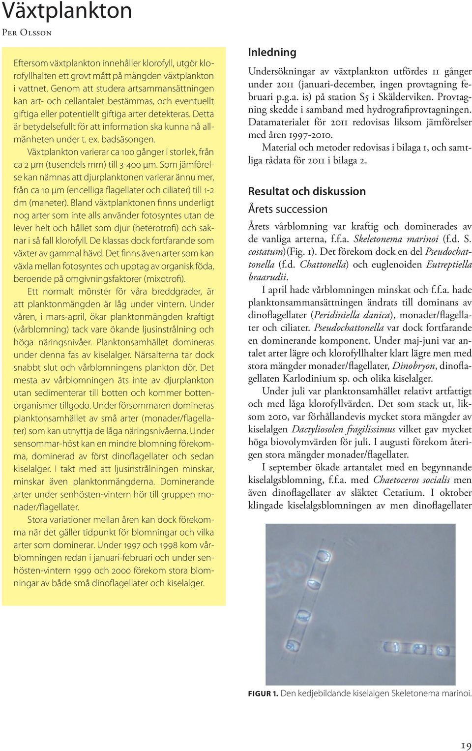 Detta är betydelsefullt för att information ska kunna nå allmänheten under t. ex. badsäsongen. Växtplankton varierar ca 1 gånger i storlek, från ca µm (tusendels mm) till 3- µm.