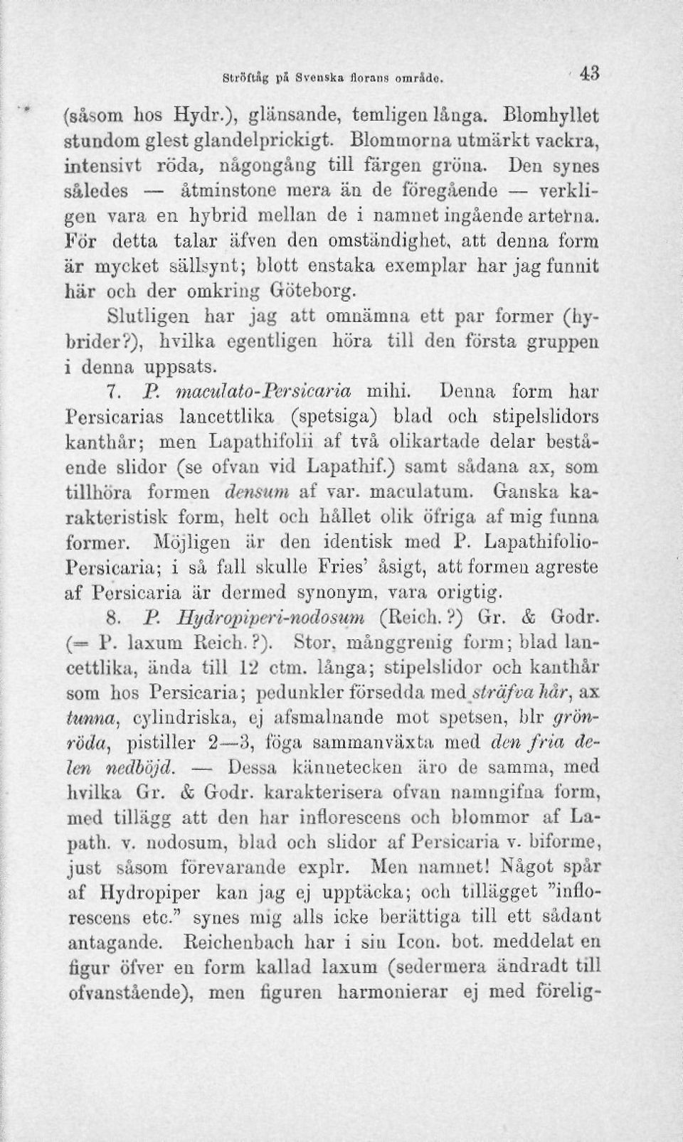 För detta talar äfven den omständighet, att denna form är mycket sällsynt; blott enstaka exemplar har jag funnit här och der omkring Göteborg. Slutligen har jag att omnämna ett par former (hybrider?