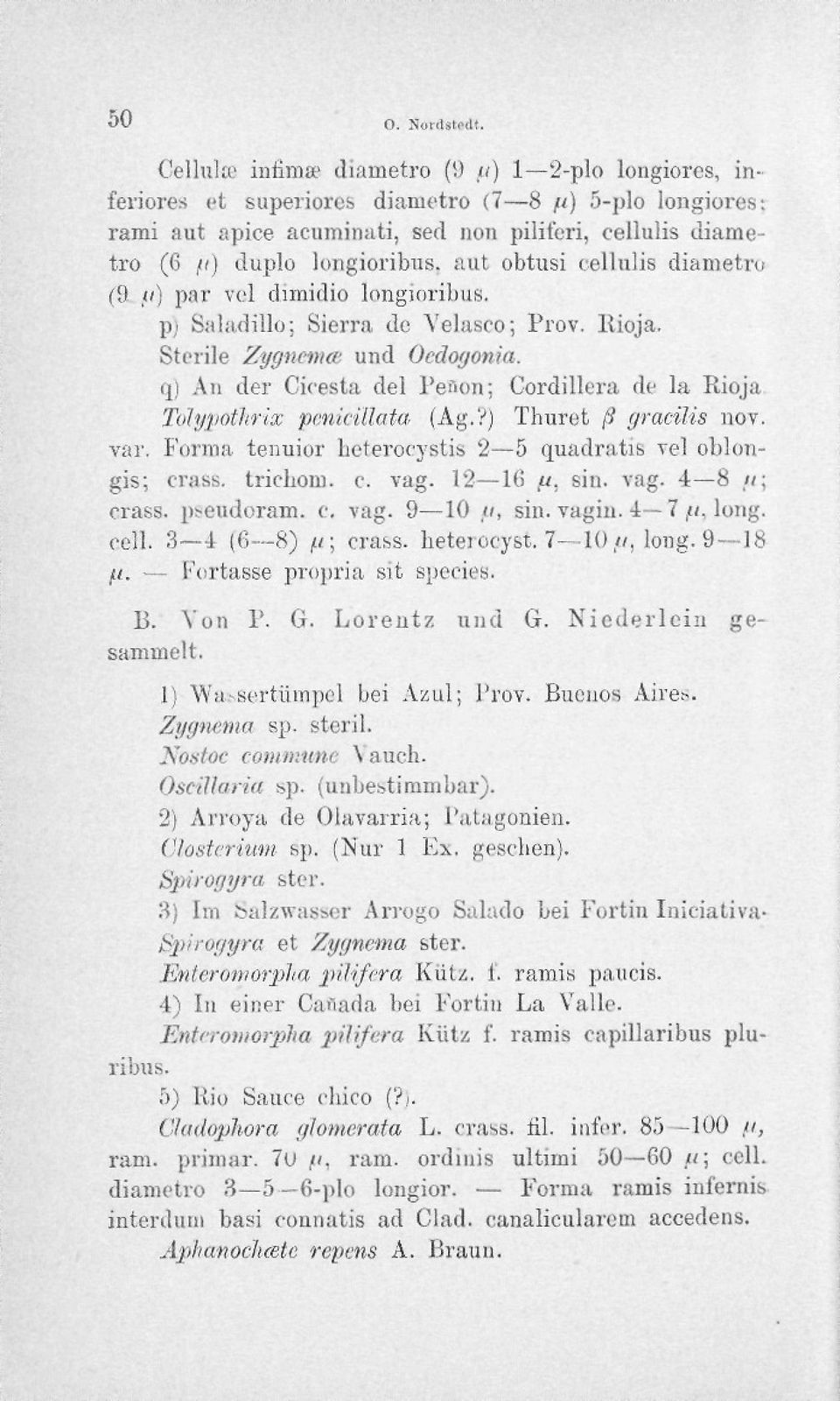 aut obtusi cellulis diametro (9 fi) par vol dimidio longioribus. p) Saladillo: Sierra de Velasco; Prov. llioja. Sterile Zygnema und Ocdogonia.