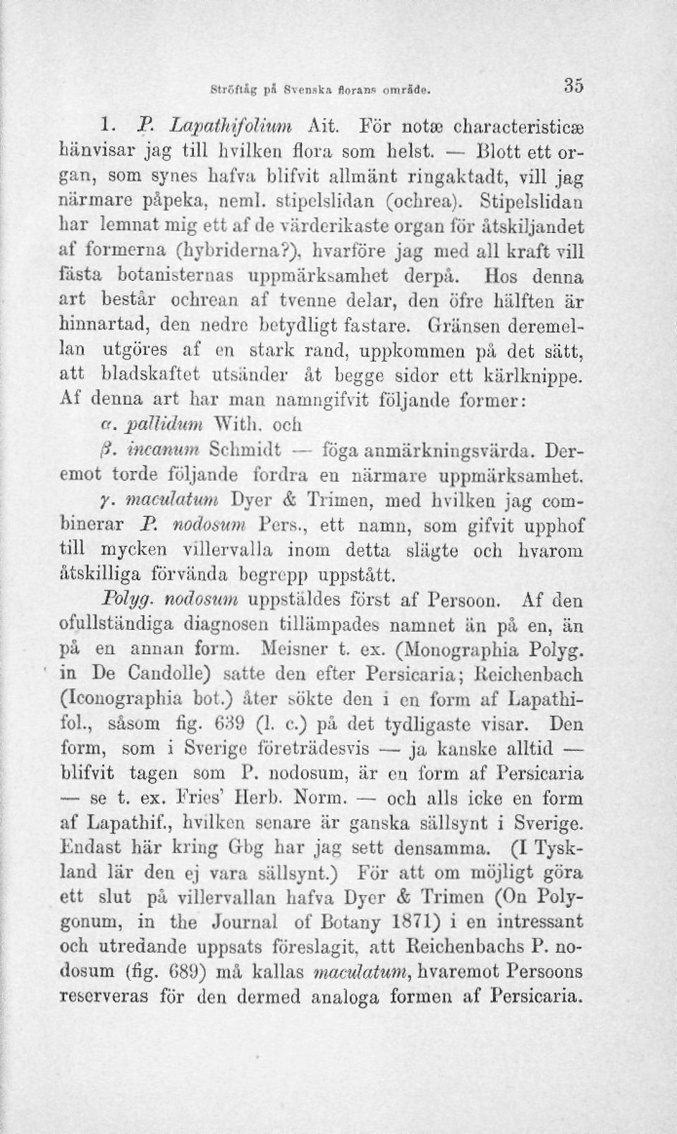 Stipelslidan har lemnat mig ett af de värderikaste organ för åtskiljandet af formerna (hybriderna?), hvarföre jag med all kraft vill fästa botanisternas uppmärksamhet derpå.