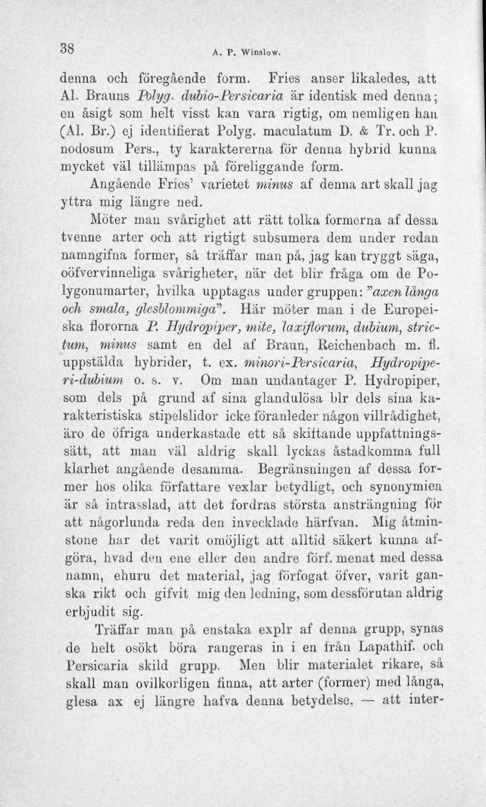 Möter man svårighet att rätt tolka formerna af dessa tvenne arter och att rigtigt subsumera dem under redan namngifna former, så träffar man på, jag kan tryggt säga, oöfvervinneliga svårigheter, när