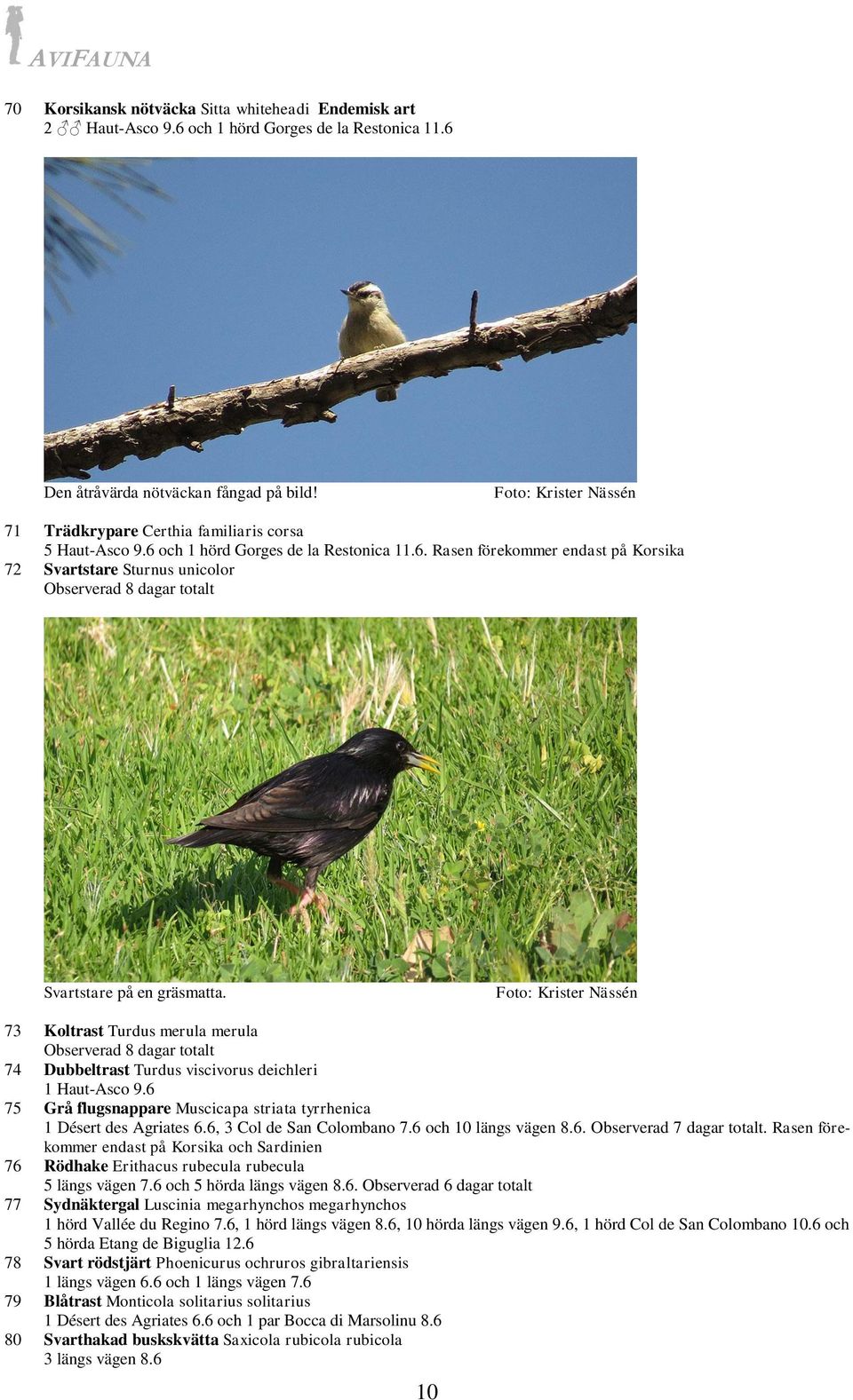 73 Koltrast Turdus merula merula 74 Dubbeltrast Turdus viscivorus deichleri 1 Haut-Asco 9.6 75 Grå flugsnappare Muscicapa striata tyrrhenica 1 Désert des Agriates 6.6, 3 Col de San Colombano 7.