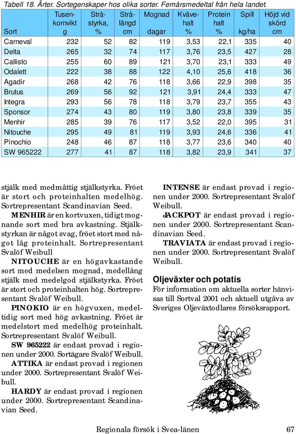 Aadir 6 76 3,66, 3 35 Brutus 6 56 3,, 333 7 Intera 3 56 7 3,7 3, 7 355 3 Sponsor 7 3 3, 3, 33 35 Menhir 5 3 76 7 3,5, 35 3 Nitouche 5 3,3, 6 336 Pinochio 6 7 3,77 3, 6 3 SW 5 77 7 3, 3, 3 37 stjälk